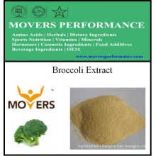 Supply Natural Organic Plant Extract Broccoli Extract